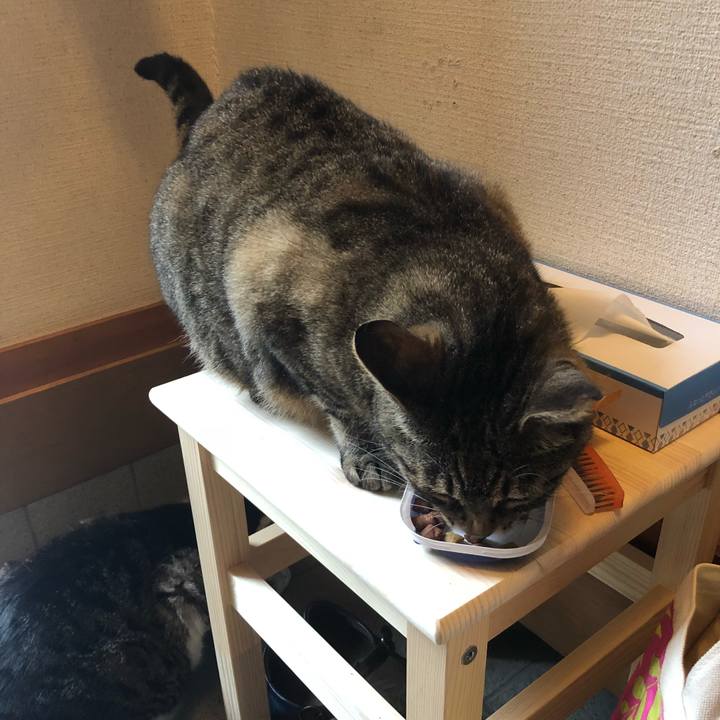 9144e0ae 590e 4744 b2da cf683d05e14c 1527245930843