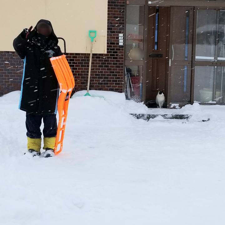 9144e951 801f 4cac 9e32 1ba789e6ef34 1583559252716