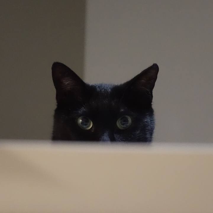 9145348c 79cf 41ba 9e59 a2119820c171 1555424185208