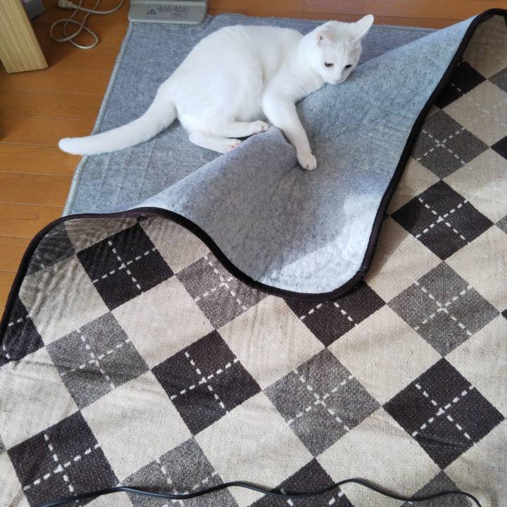 91453c90 9706 4410 9c16 07a01fc8dcaf 1543540101745