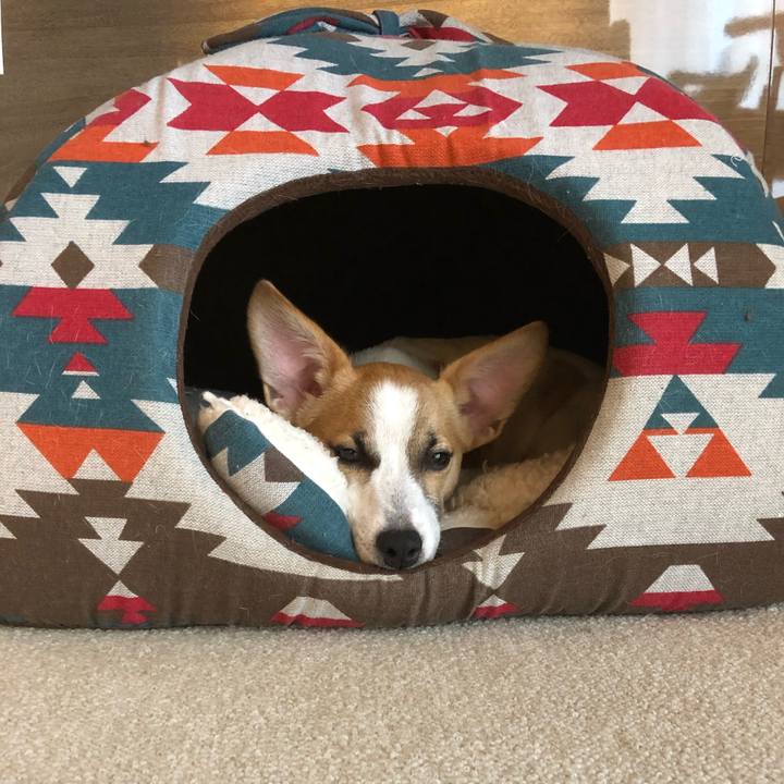 91455996 eeba 49d4 841e 32d72ef90598 1556590516414