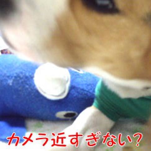 91455b77 bbce 46fc a18a a0d765d983c0 1711498821682