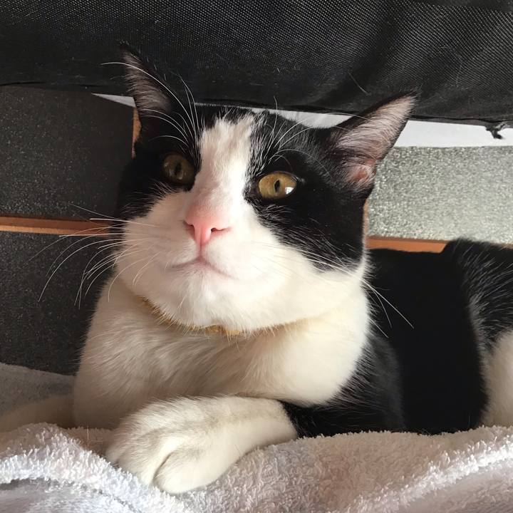 9145875c 0fd3 42f5 9690 61358d513e6e 1646016733238