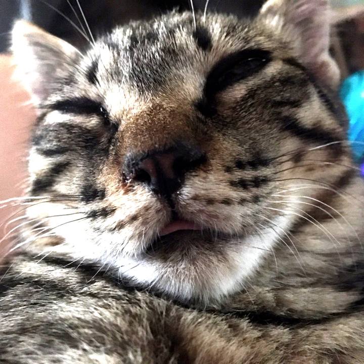 9145abf4 91ea 4e7b 8329 836bb445927f 1539135914770