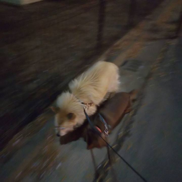 9145d2a5 f1c7 42f1 9f38 f7b99c252147 1555064307809