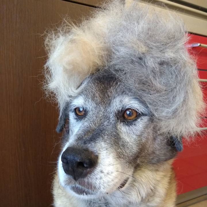 9145dd2f a3f8 47b9 96db d3c21ca35608 1565706293046