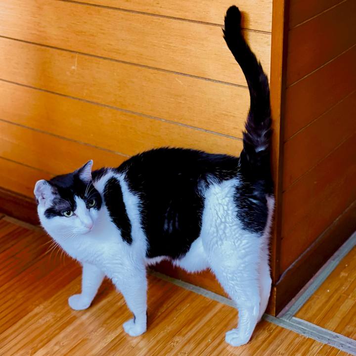 9145f12b 4310 4058 b2f9 5944c49c2cb6 1629681995272