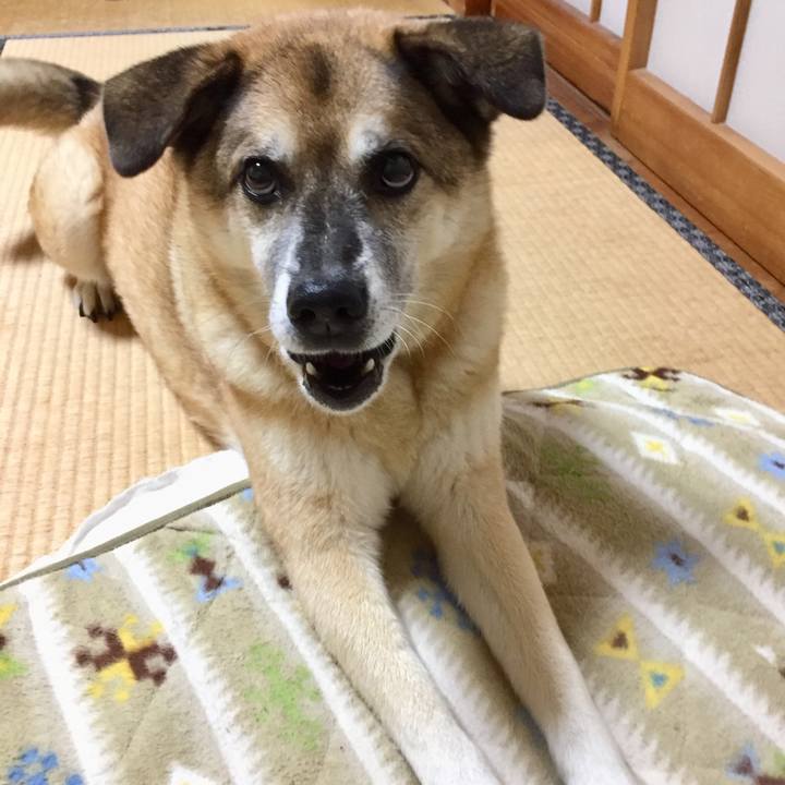 914600e1 8ba7 43f5 b17b 9a8b091bdb89 1570703089234