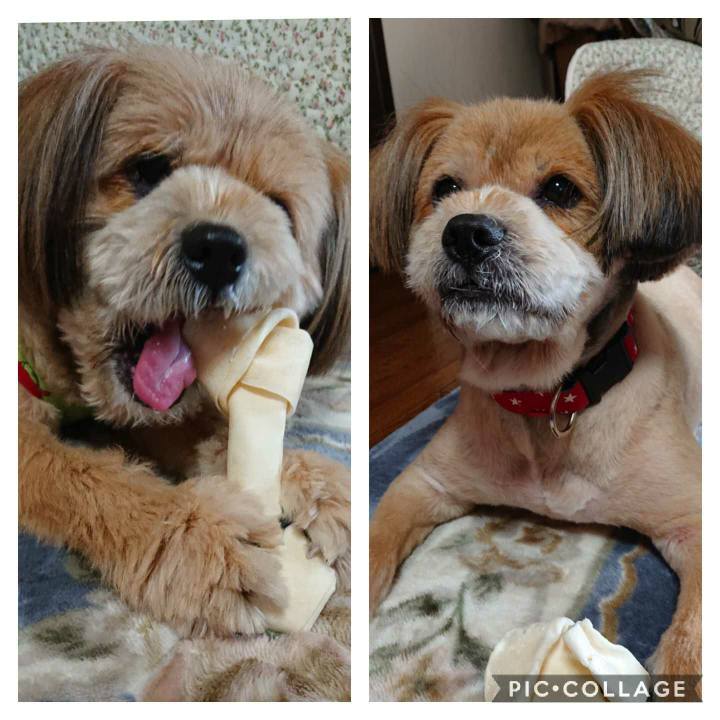 91461184 099e 4ac9 8e8b 40675fcc5964 1585726821982