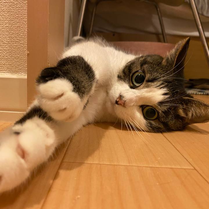 91461581 efb6 4b7b a1a6 58531f12fe9d 1595504964557