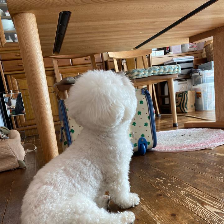 91464ecf aad7 4fe6 9628 8f4bd3ea7de5 1643335562394