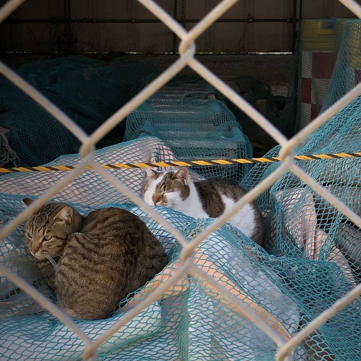 91465580 e0b3 4353 9109 a28094e0e090 1547987148535