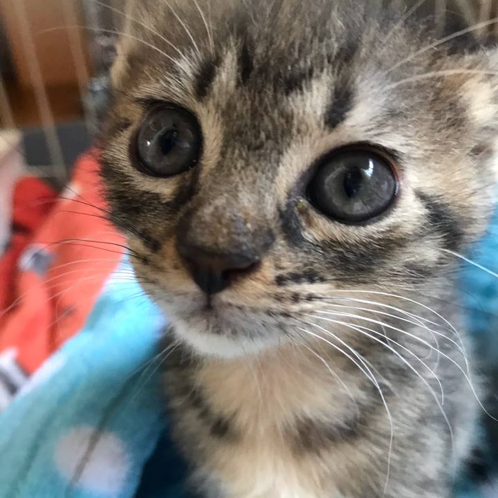 9146612c ad45 4dc8 ace1 0eb27e08397d 1557532195037