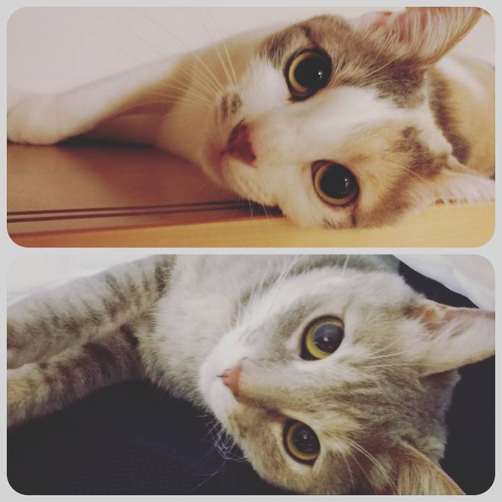 914666c9 56c9 4cec a663 f066ae8daf02 1527762679370