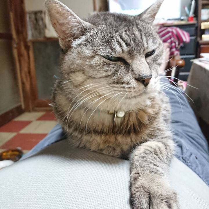 914676f3 f9f7 4838 bd94 43404cac021d 1573212151014