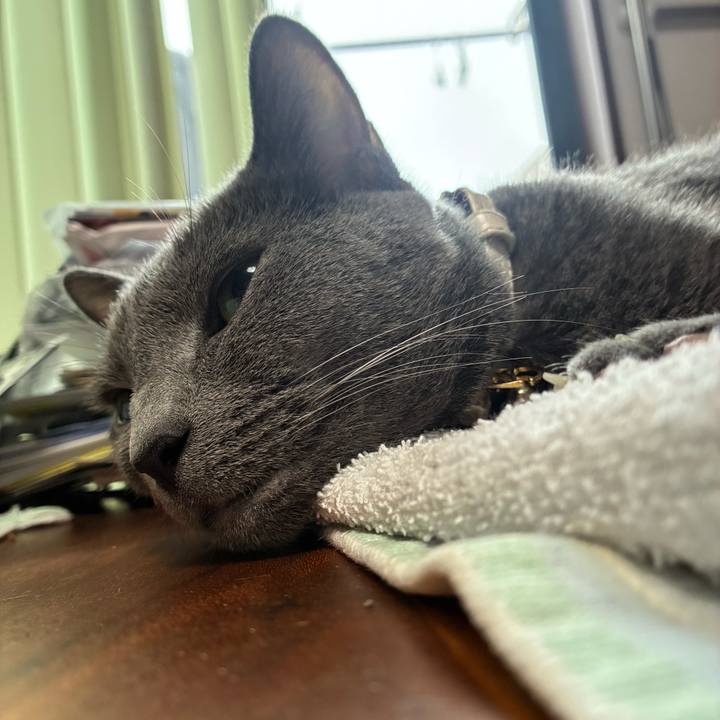 91468cfb 2a2b 46dc 925a 513acf232411 1751420092239