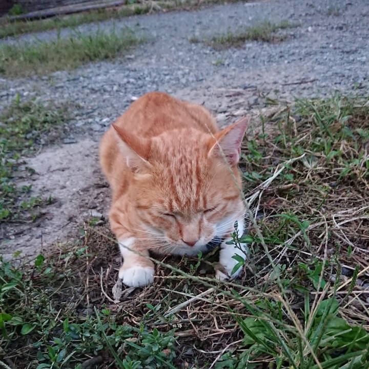 914697d2 69b7 4d9c 962c 032ba4494bfc 1567762901565