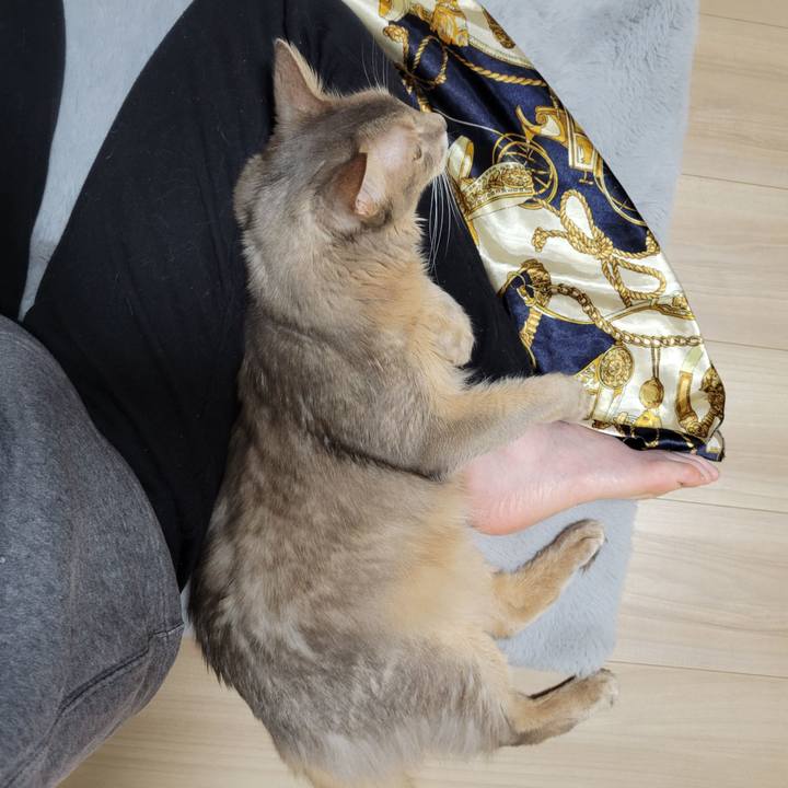 9146b66e 4465 4f75 a75e 8f1667e966bb 1650170587741