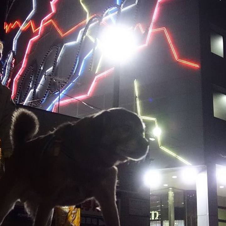 9146b732 f2c1 4ad0 972c 3b9f5e51841e 1518356798022