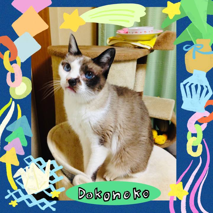 9147010b 8bdc 49b4 89b5 fae5ac2848dd 1755164566216