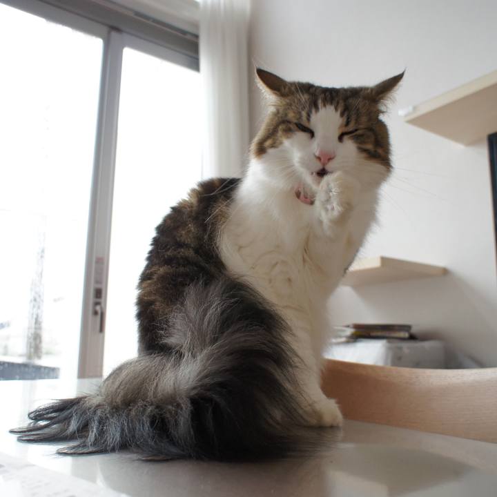 9147371f 20c2 4ed3 9ab8 ddf3a41b2267 1537501629224