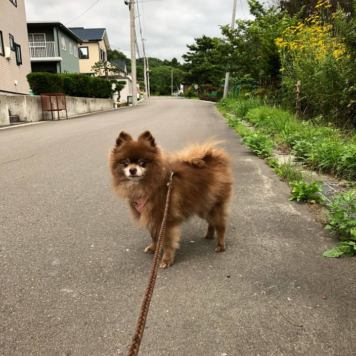 91475b4b 886a 4c6e 9945 921f26e077f6 1597908614697