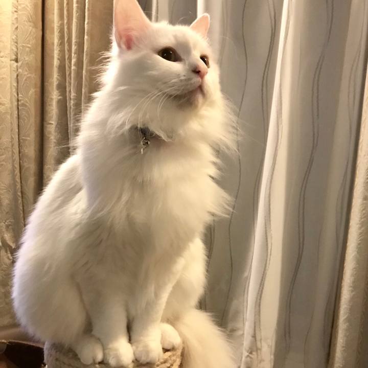 91475fc3 c261 48d5 8c68 138df6bde26a 1557314821618