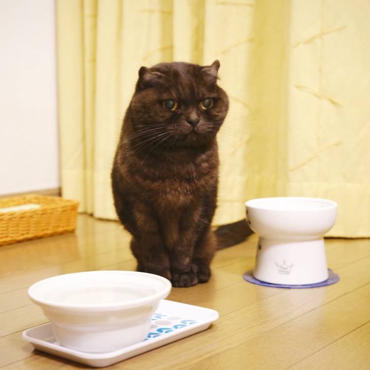 9147a681 61e5 463e 81d3 4700713f024e 1642848020000