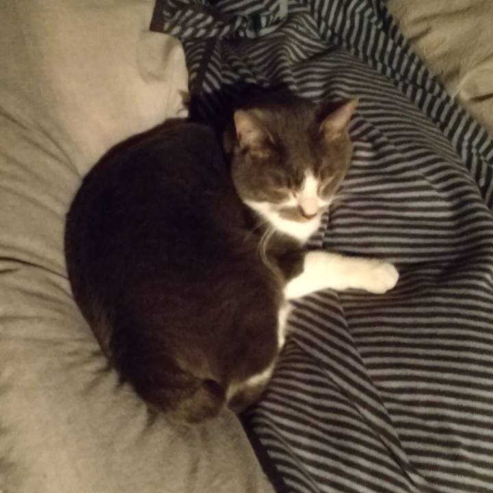 9147aaf8 74d7 4e4d 89a2 be2ee050f4ae 1642979304913