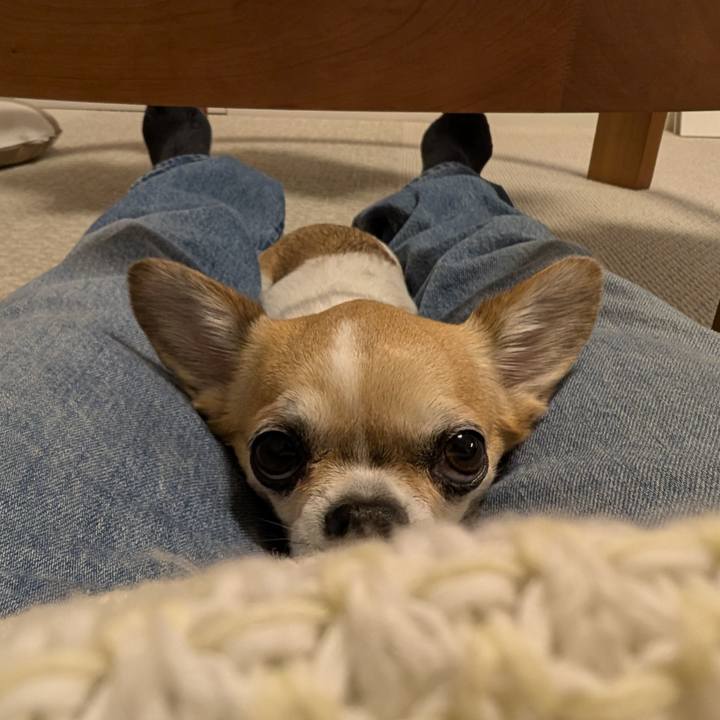 9147c5f6 8192 42c1 9969 b436550aa6d5 1742016314631