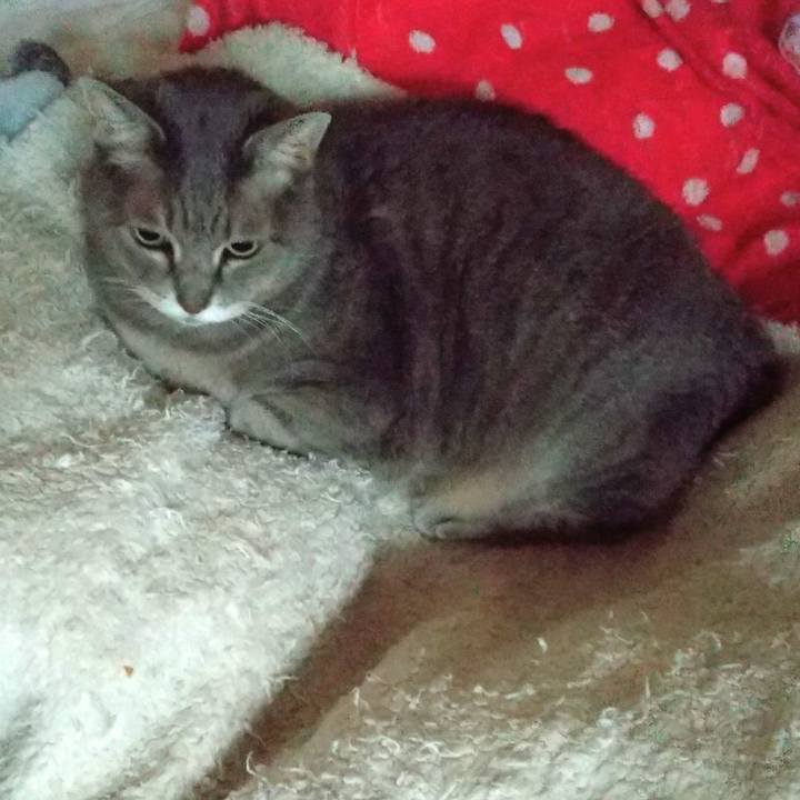 9147d798 9238 4726 b657 f84521b57fe5 1604354794371