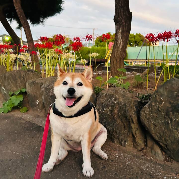 9147fbc2 15cc 4477 bd4d 0b9e8ad8f501 1727773928631