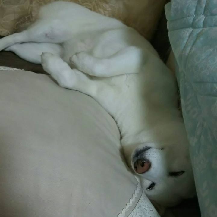 9147feef d9b5 46e9 acd6 cbad17ccd6ef 1529580838483