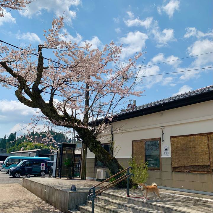 91480016 1425 4d8e 8781 3acac98f8ae4 1680512874897