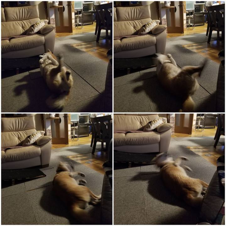 91480160 ef65 40ba 884f be0d87de2754 1736321146976