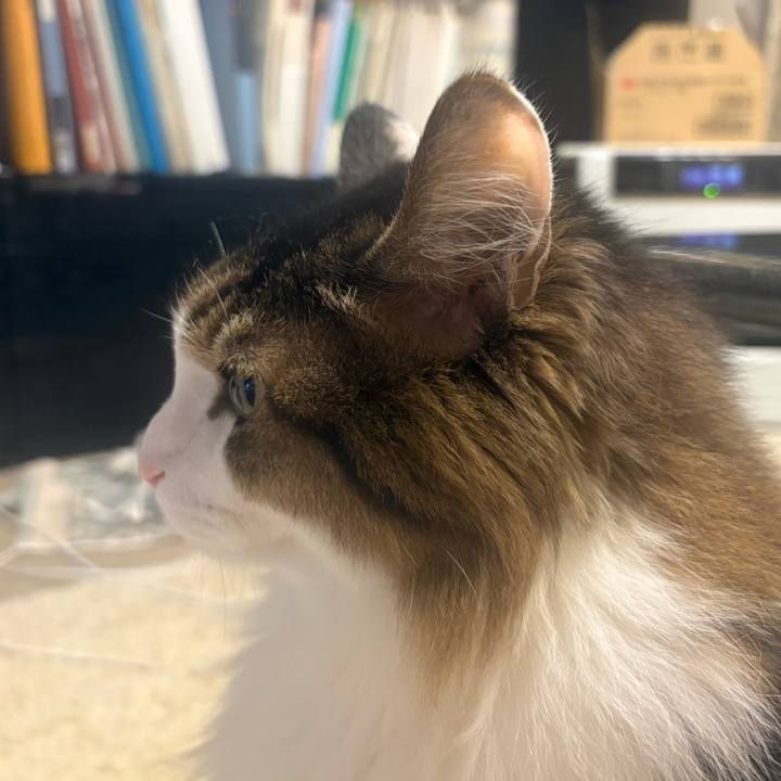 9148292d 6db9 439b 849c 3e1938cfbfb2 1767567030276