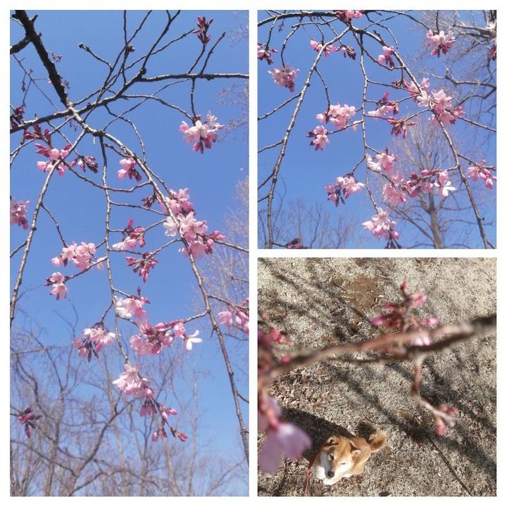 9148544e 3f63 486a 9b39 048bab42a64f 1584579536383