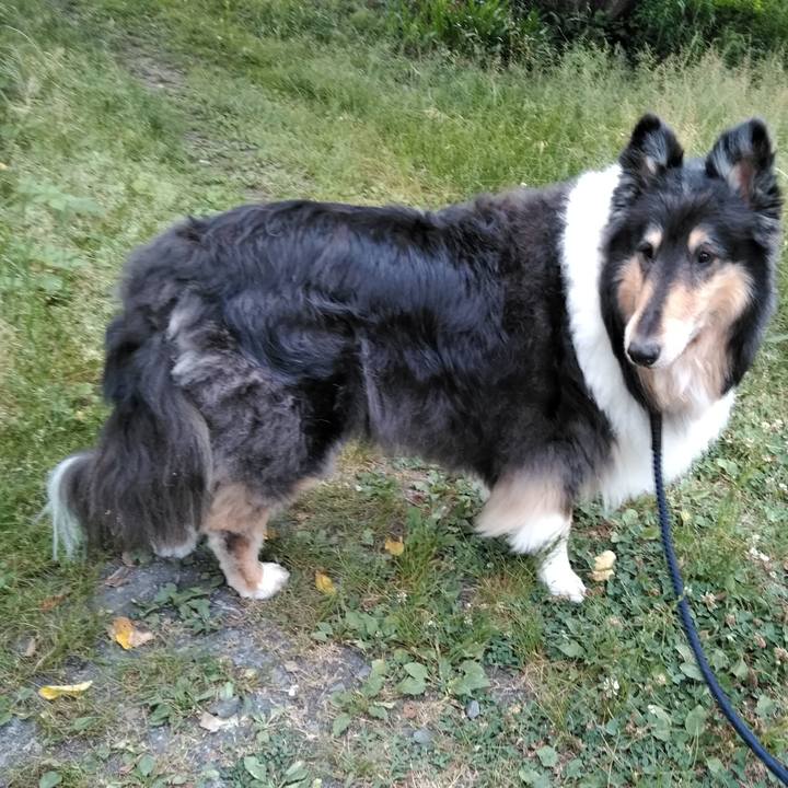 914866ef cd7b 4f49 8535 a8900d25bcbd 1559485343736