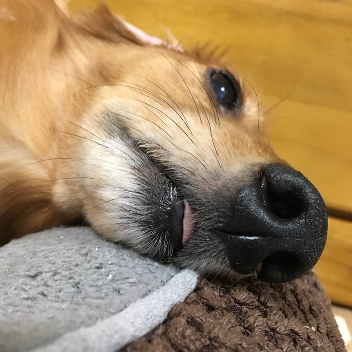 91486857 36d9 4202 844a e0da9b21b149 1518237158747