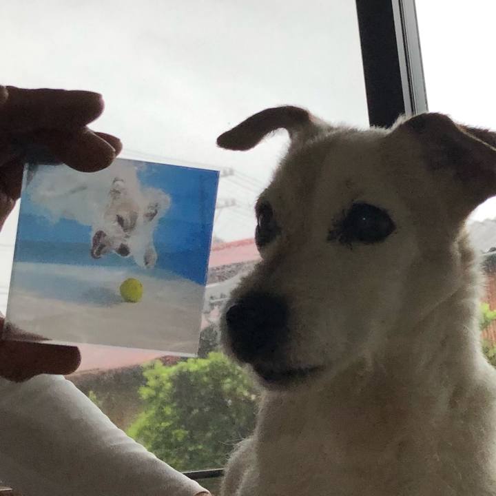 9148991a 8f4a 44cf bb96 03557106f356 1621504287379