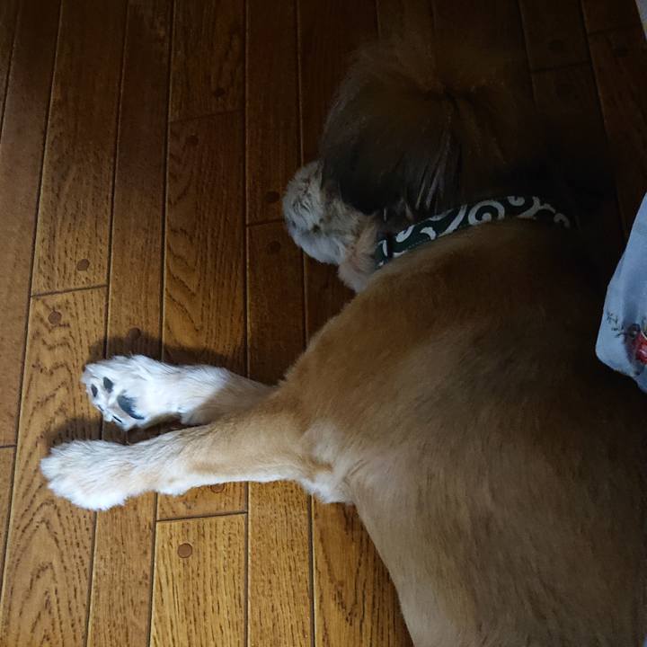 9148b6a3 ca1e 4e8b acf1 40fa91b04693 1564404331966