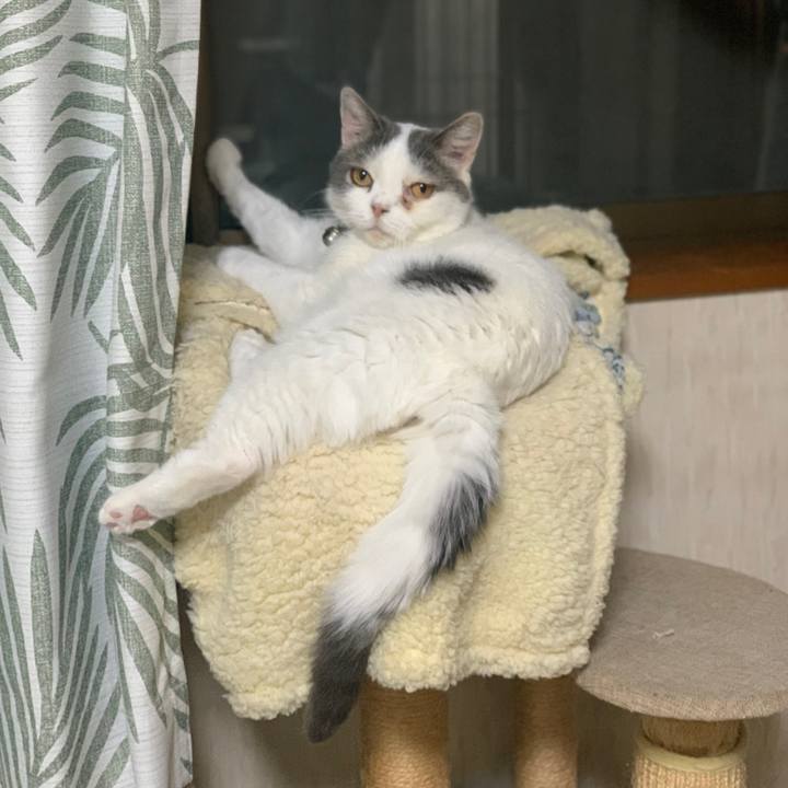 9148da4a 47e7 4c6f bef3 c05aef0797f9 1663328087577