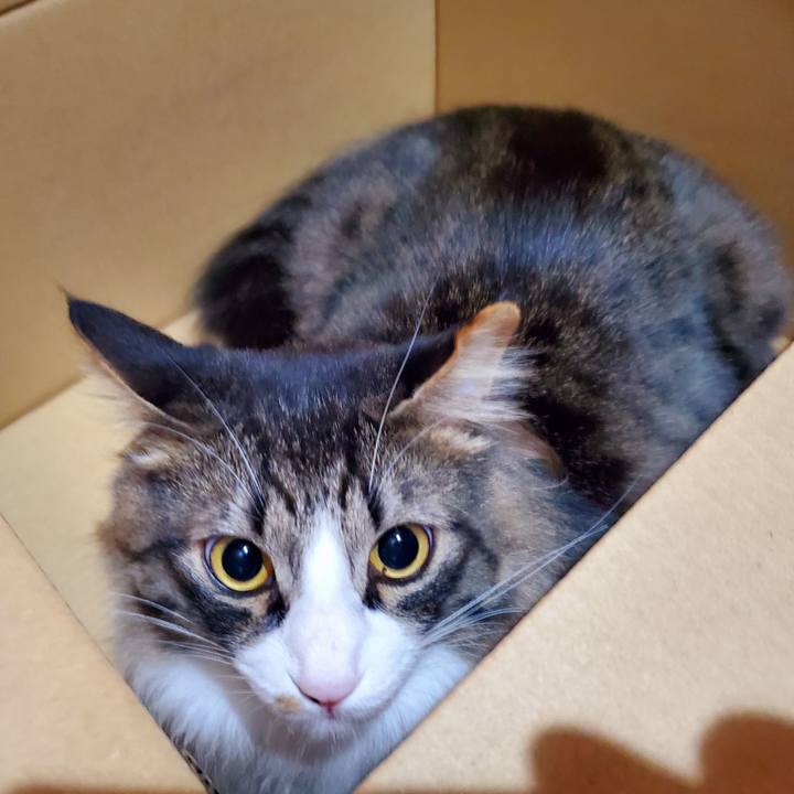 9148e204 2e0c 4b1f 8f23 73bb06cf1b25 1681970879486