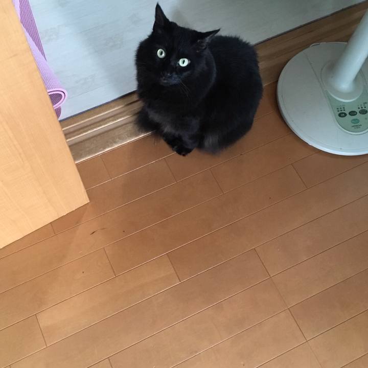 914931fc 1a1e 4b7d 9408 616caae7bce5 1536296862328