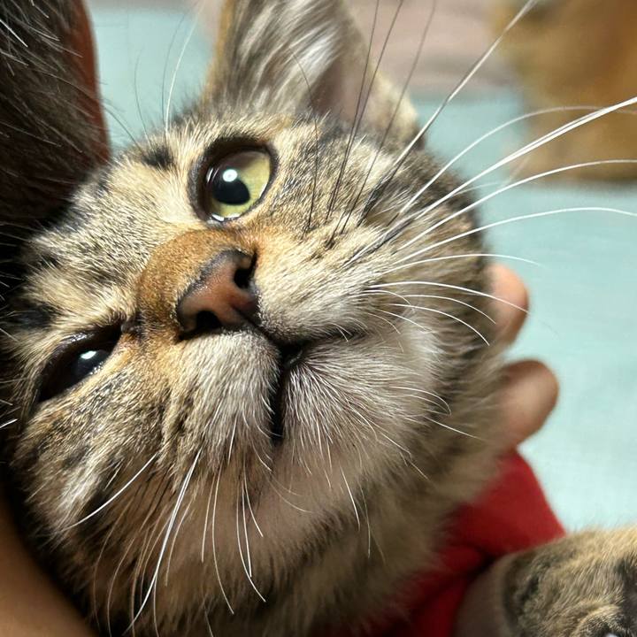 91496181 5440 45cc bbc9 ee45bed460c5 1730200486918