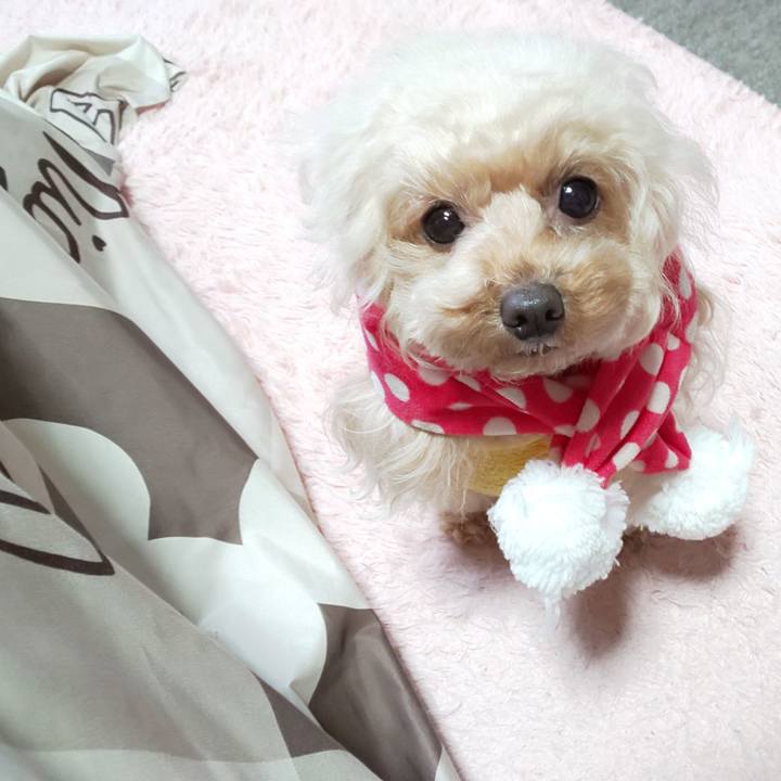 914976d1 d917 4a4e 8964 959f90934e05 1576311680354