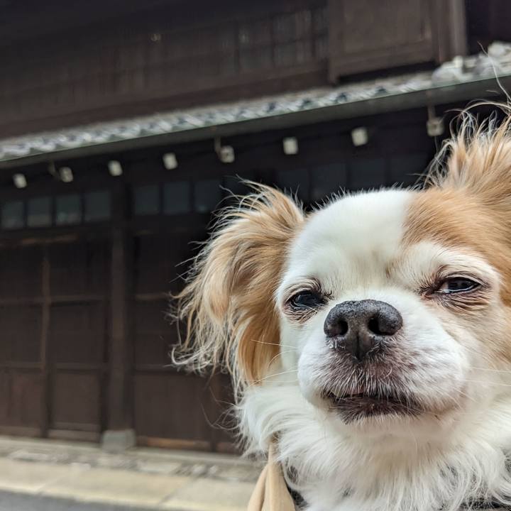 91497882 23fa 4efc 947c fe8552129b5f 1676789053299