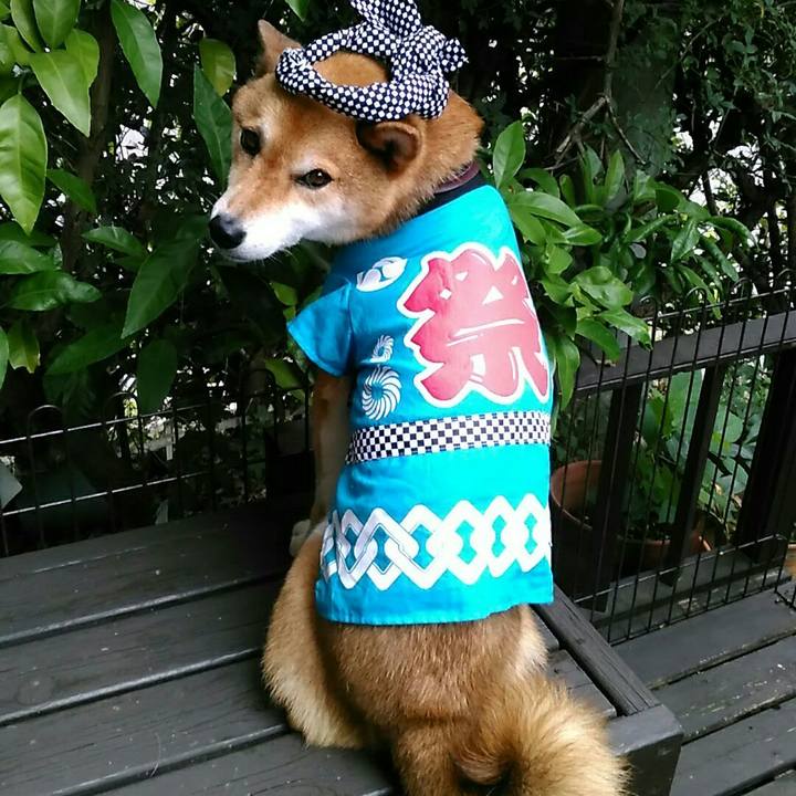 914979d9 bf5b 4c1b a63a 9e895644a3d6 1563677426809