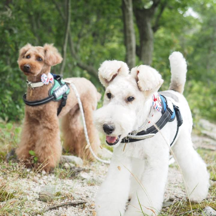 9149aa2a 7cd9 4d88 8316 47686d44a298 1561256355980