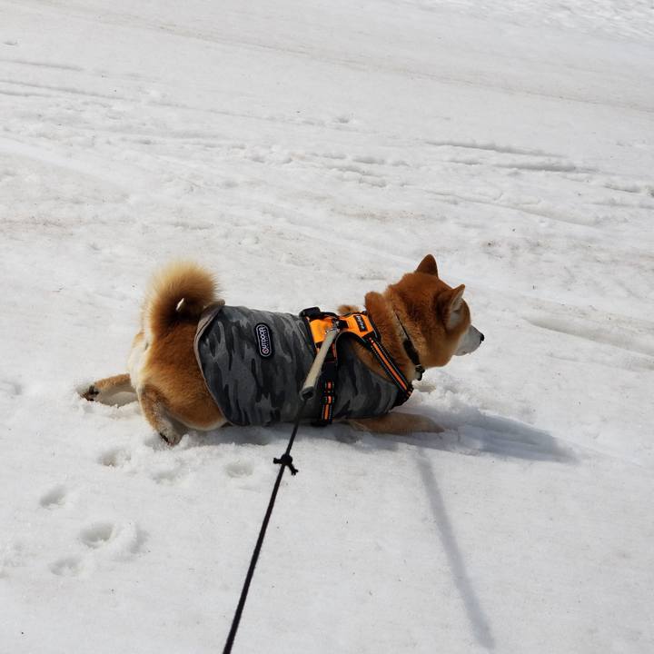 9149c8ad 5af1 42a5 a81b 0dd5a24f96cd 1615954804305